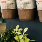 Herb Garden - Six Potted Plants Close-up Photo