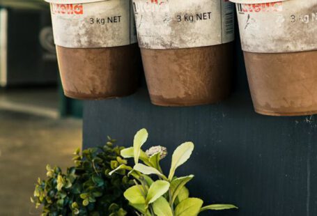 Herb Garden - Six Potted Plants Close-up Photo