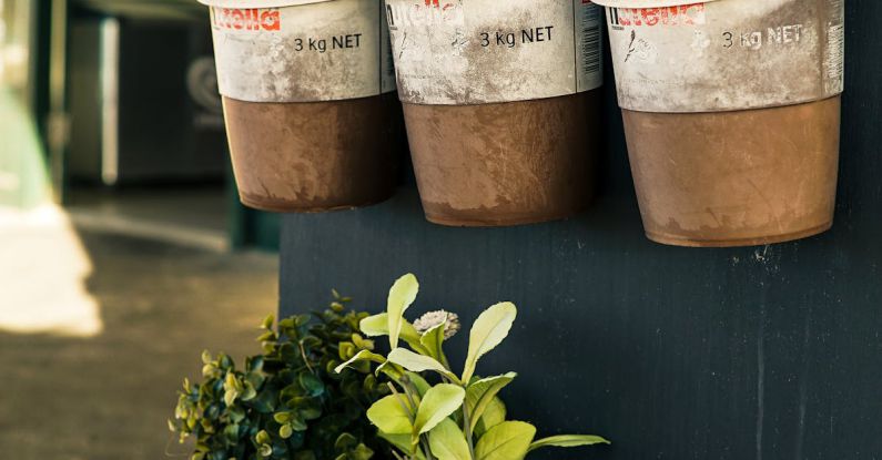 Herb Garden - Six Potted Plants Close-up Photo