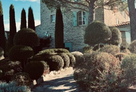 Formal Garden - Garden in Front of a Villa