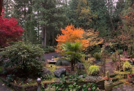 Garden Transition - green and orange trees and plants