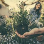 Rooftop Gardening - person showing green plant