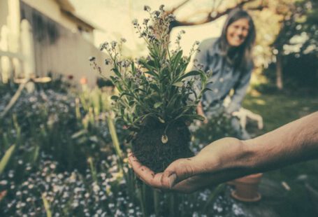 Rooftop Gardening - person showing green plant