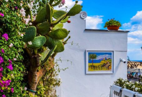 Garden - Veranda Surrounded by Green Cactus and Pink Bougainvillea