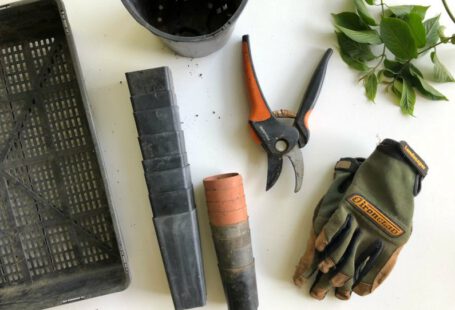 Gardening Tools - black pruning shears beside green gloves