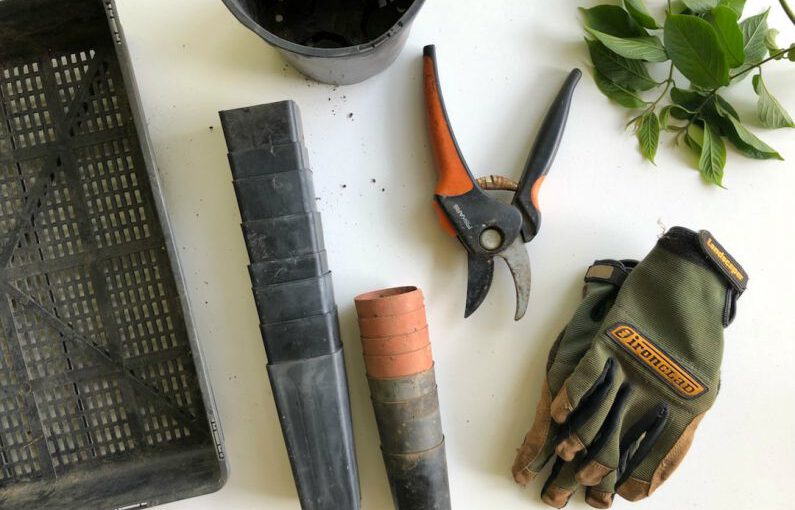 Gardening Tools - black pruning shears beside green gloves