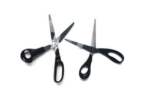 Pruning Shears - two black-and-gray scissors