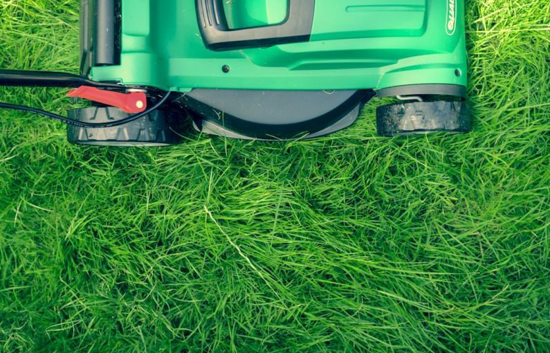 Lawnmower - green and black lawnmower on green grass