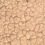 Soil Erosion - Dry cracked mud