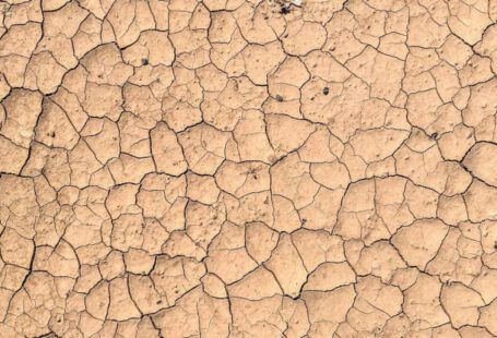 Soil Erosion - Dry cracked mud