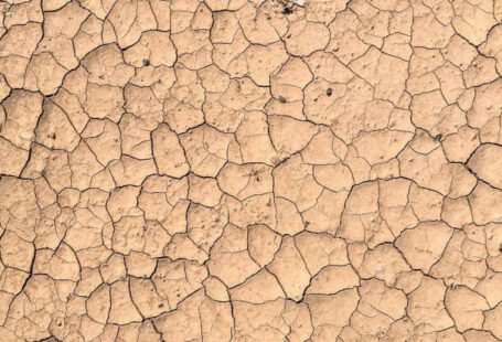 Soil Erosion - Dry cracked mud