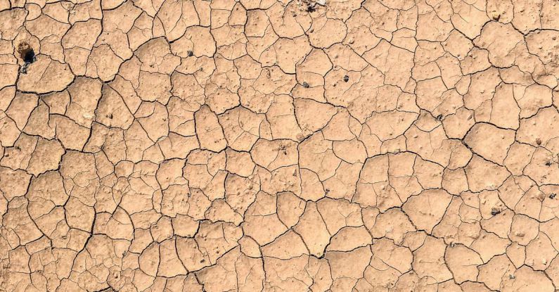 Soil Erosion - Dry cracked mud