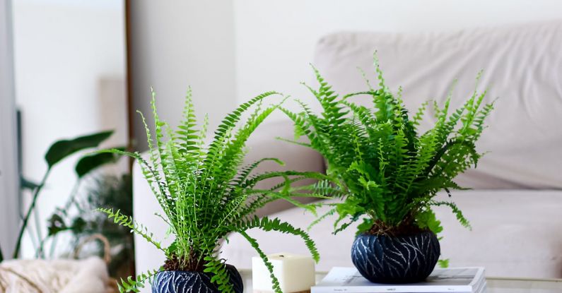 Drought-Resistant Plants - A living room with a coffee table and plants