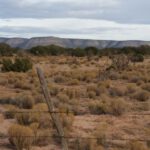 Xeriscaping - new mexico, nm, fence