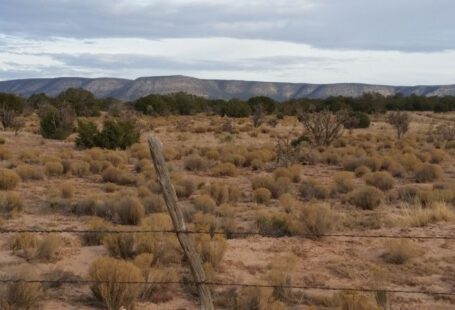 Xeriscaping - new mexico, nm, fence