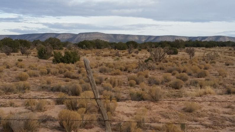Xeriscaping - new mexico, nm, fence