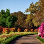 Flower Garden - Gray Concrete Pathway Besides Pink Flower during Day