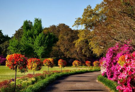 Flower Garden - Gray Concrete Pathway Besides Pink Flower during Day