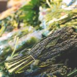 Greens - Close-up of Vegetables in Market